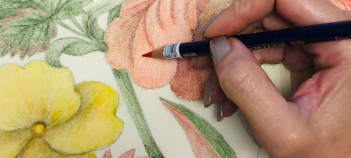 Drop-in Drawing with Roxana Manouchehri
