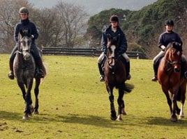 Brennanstown Riding School