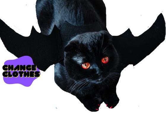 Night Bites – DIY Bat Wings
