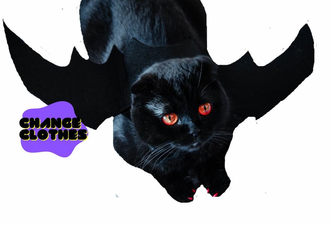Night Bites – DIY Bat Wings