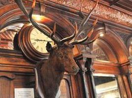 The Stag's Head
