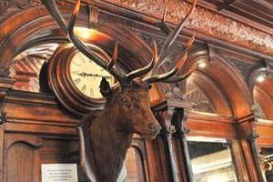 The Stag's Head
