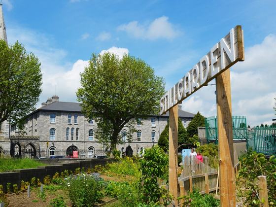 Gin School & Distilling Academy