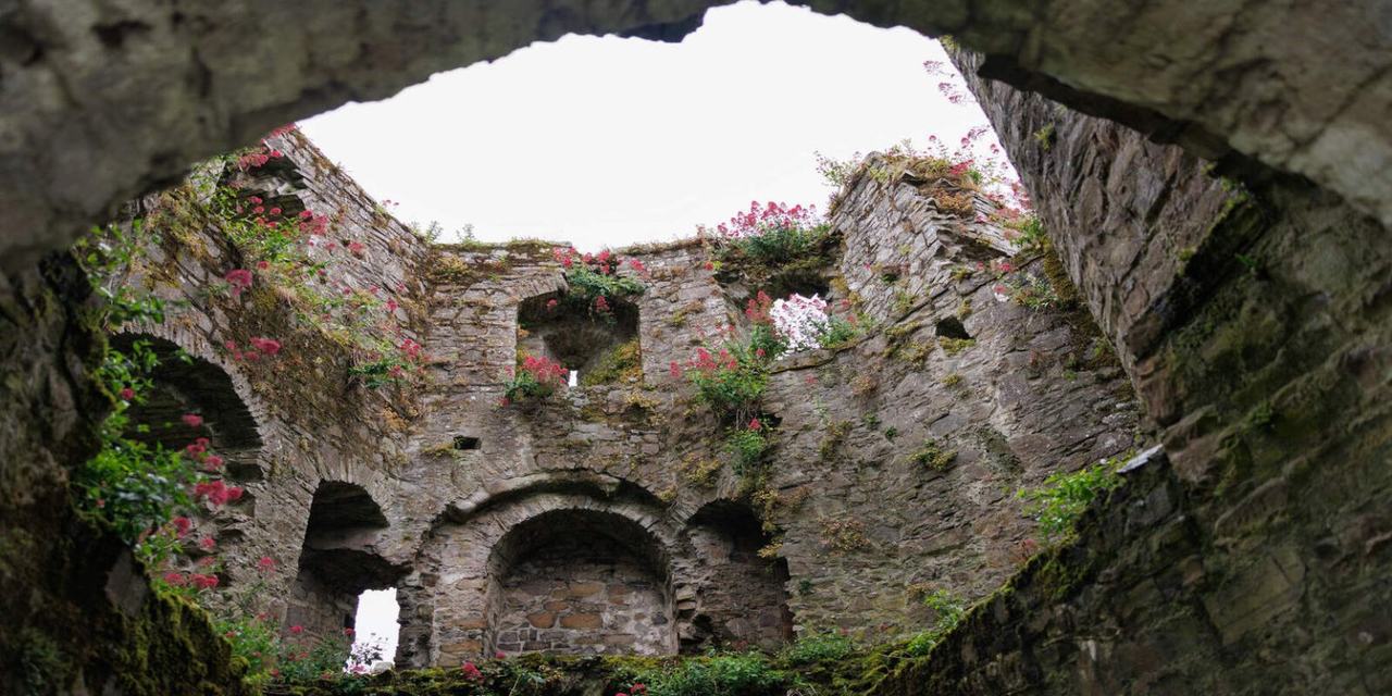 Newgrange and The Boyne Valley Luxury Tour