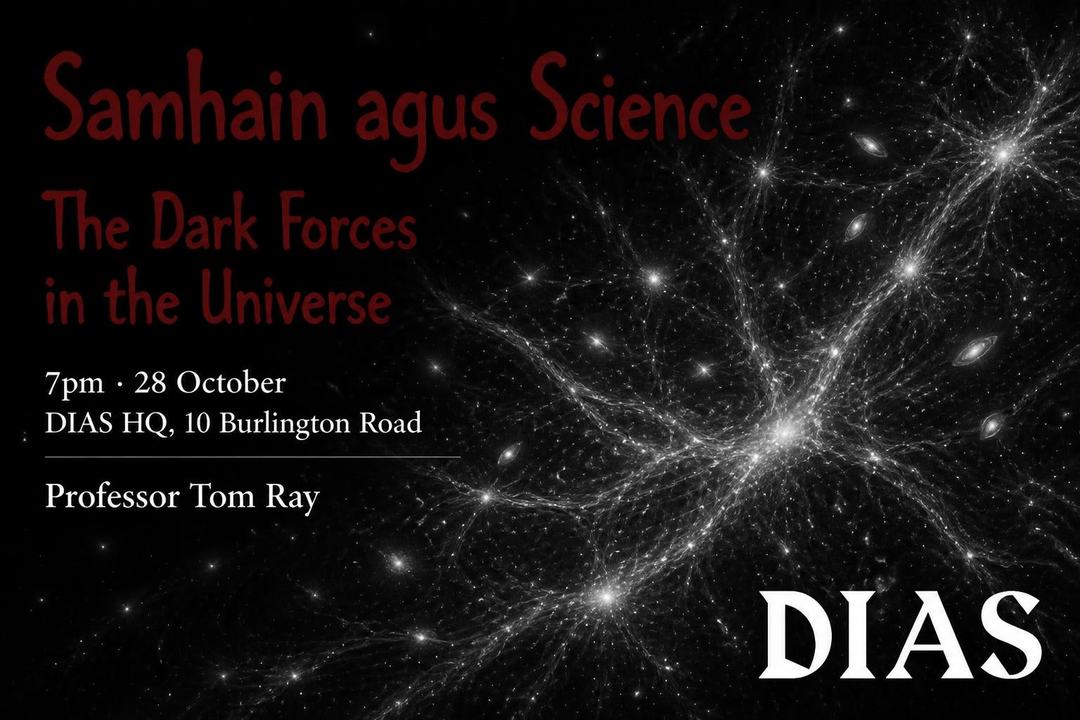 The Dark Forces in the Universe