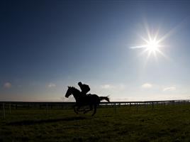Tattersalls Ireland Bloodstock Auctioneers