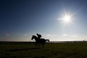 Tattersalls Ireland Bloodstock Auctioneers