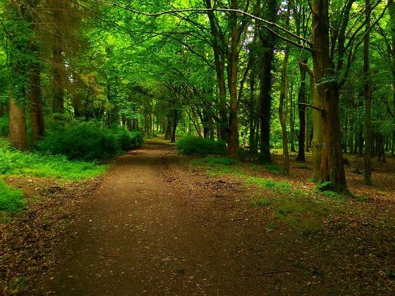 Mybikeorhike- Trails and Tombs Tour