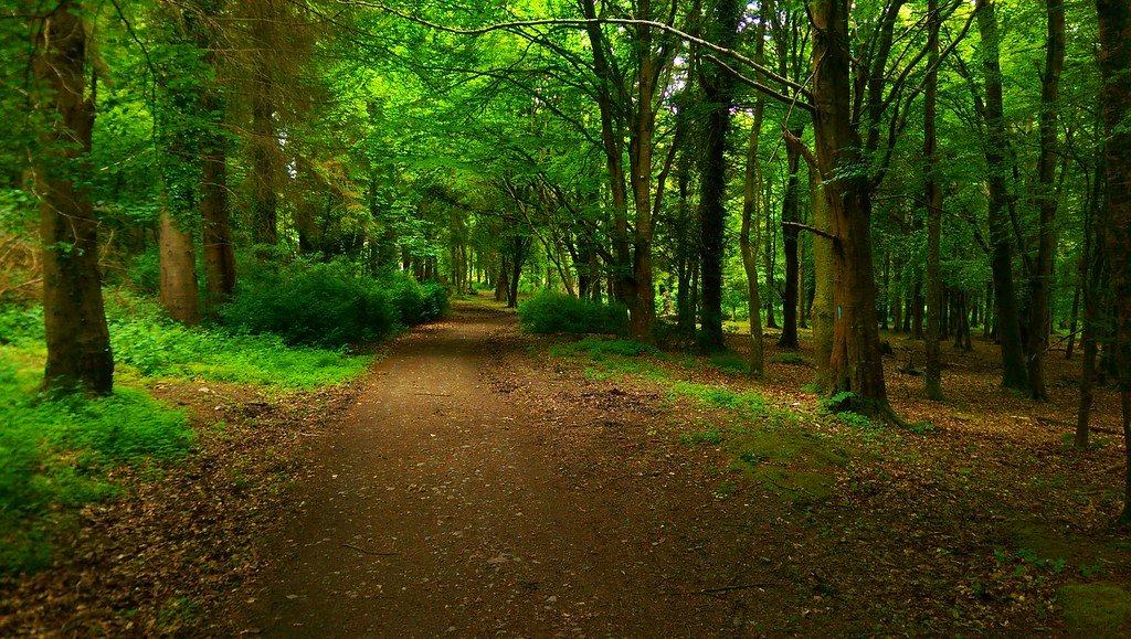 Mybikeorhike- Trails and Tombs Tour