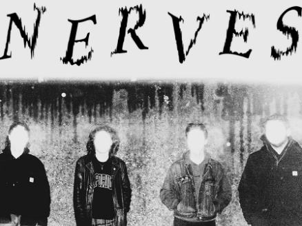 Nerves