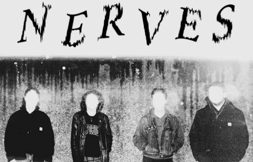Nerves
