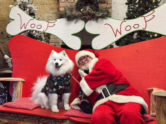 Newbridge House & Farm – Santa Paws