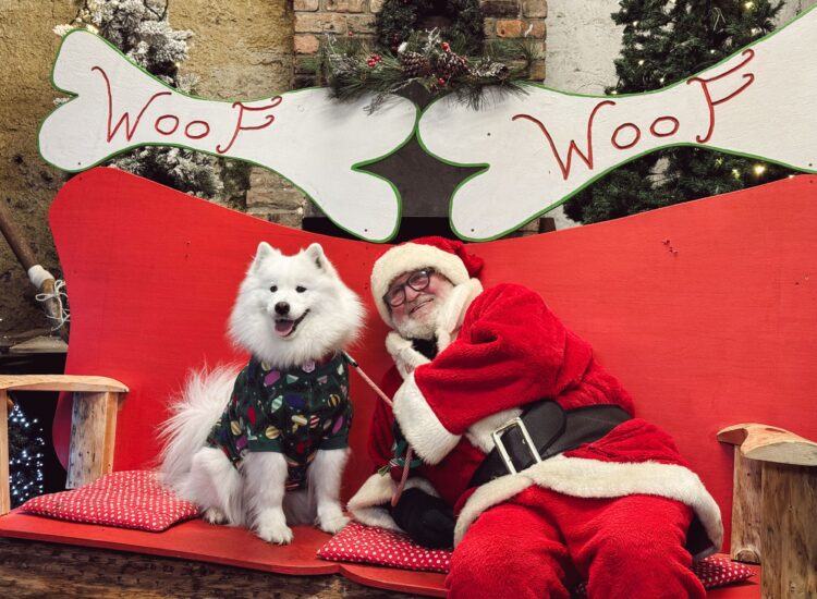 Newbridge House & Farm – Santa Paws