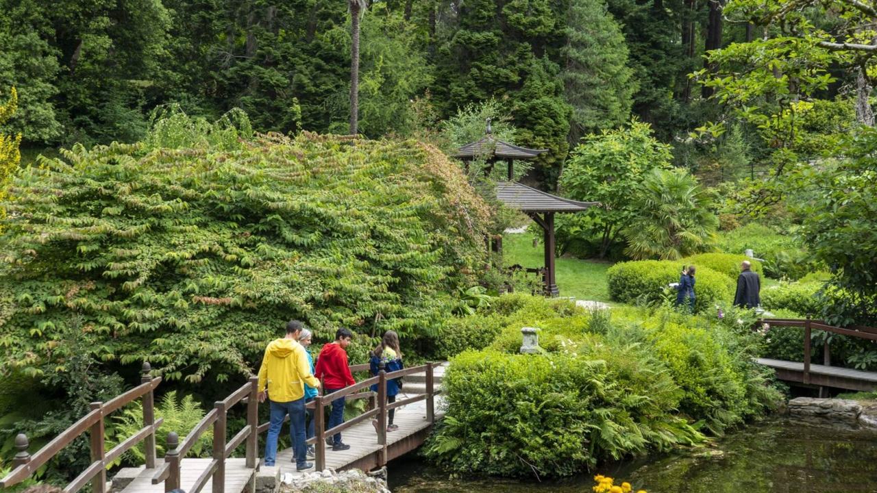 Wicklow, Glendalough & Powerscourt Day Tour