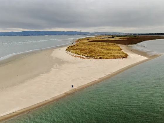 Bull Island Beach