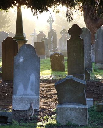 Winter Solstice Tour - Experience Glasnevin