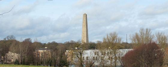 Rare Ireland Tours