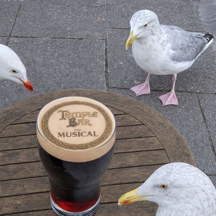 Temple Bar: The Musical