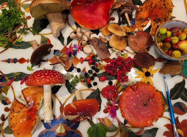 Medicinal and Culinary Mushroom Workshop