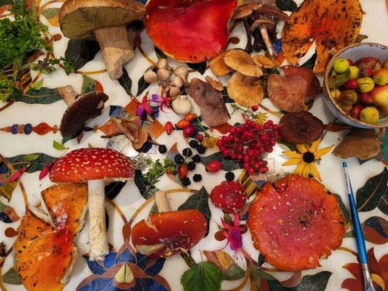 Medicinal and Culinary Mushroom Workshop