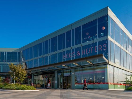 Hogs & Heifers - Liffey Valley