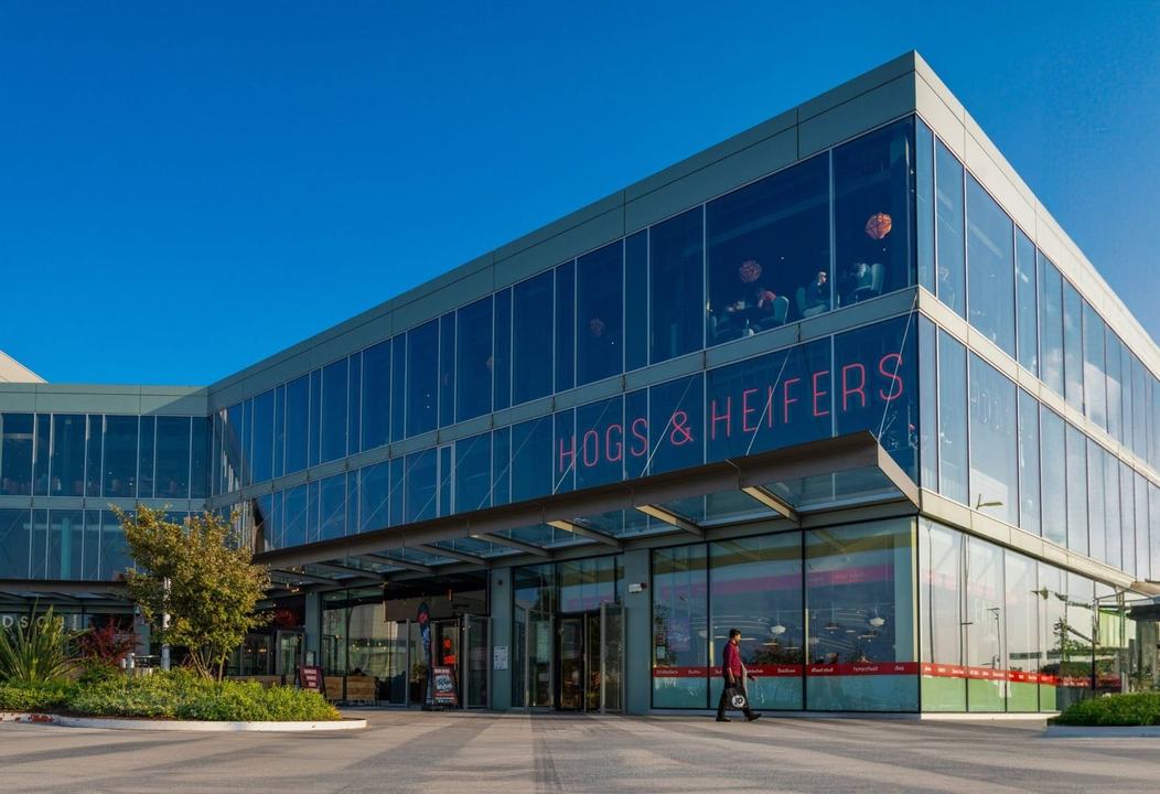 Hogs & Heifers - Liffey Valley