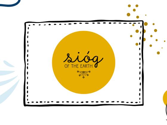 Sióg: Foraging, Wild Foods and Herbal Extraction Workshop, Afternoon