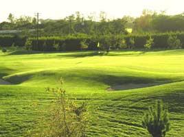 Beaverstown Golf Club