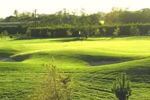 Beaverstown Golf Club