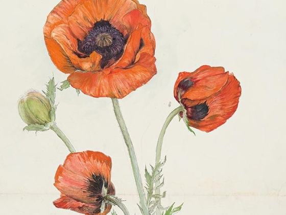 Sketching Tour: Hilma af Klint: Artist and Visionary