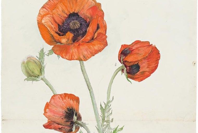 Sketching Tour: Hilma af Klint: Artist and Visionary