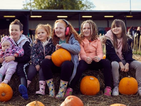 Pumpkin & Fun