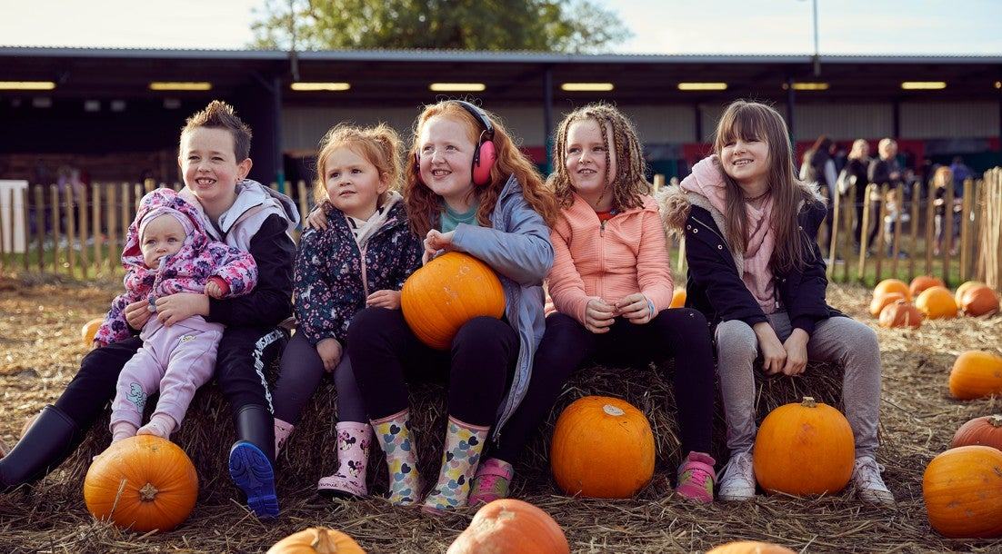Pumpkin & Fun