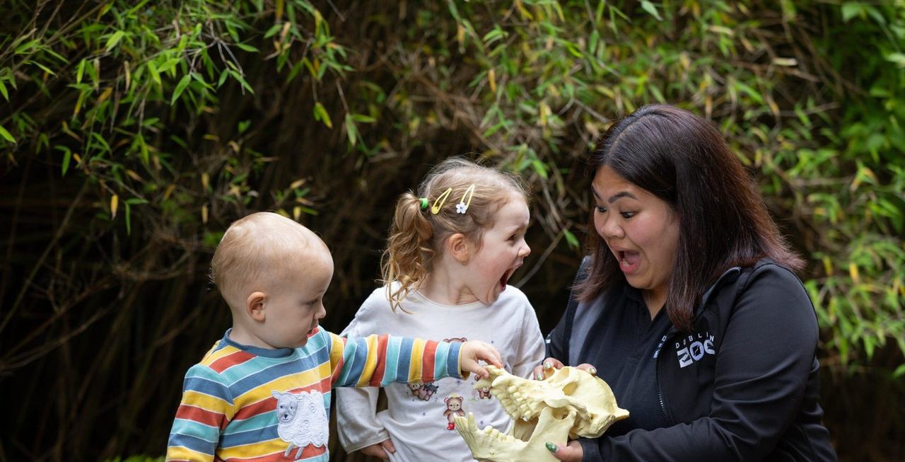 Zoo Tots