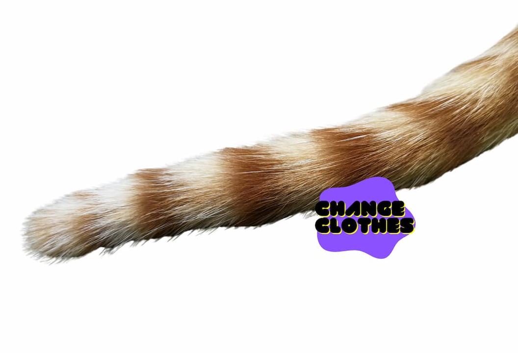 Night Bites – DIY Animal Tail