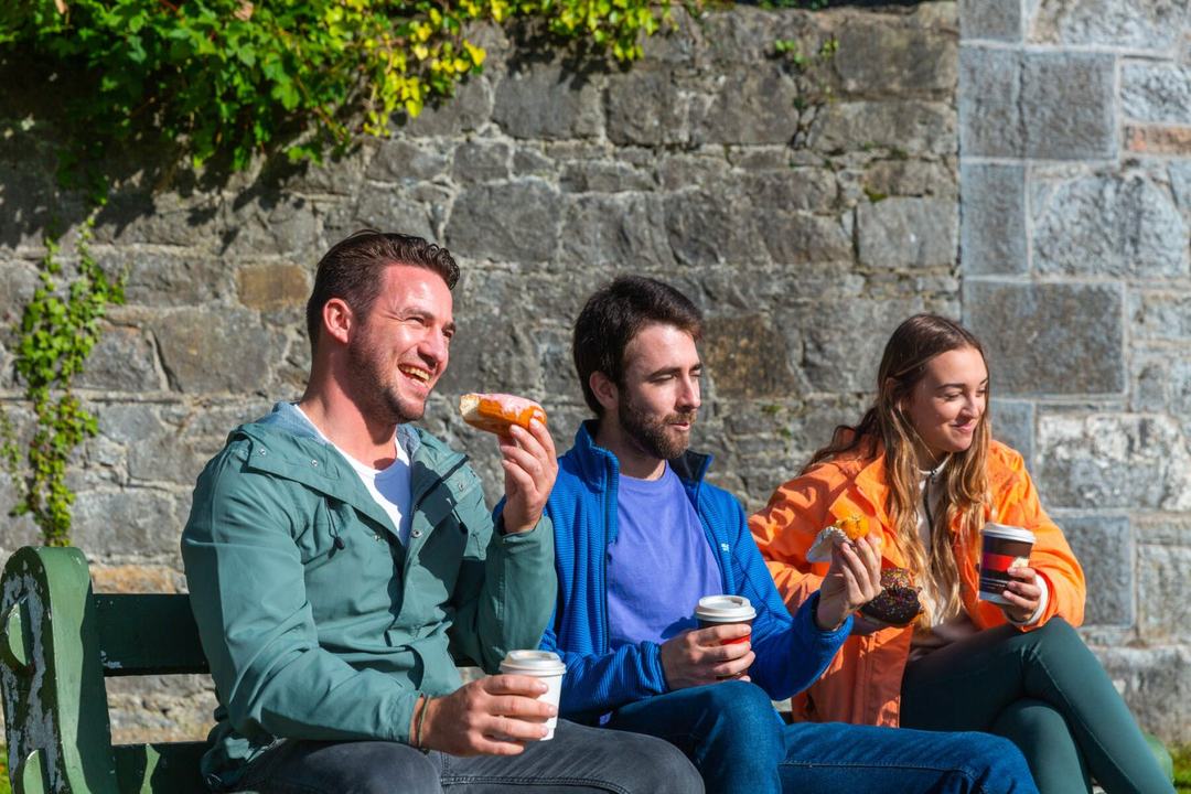 Private Walking Tour - Fantastic Walking Tour of Dublin