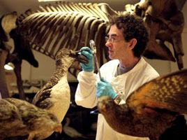 Zoological Museum