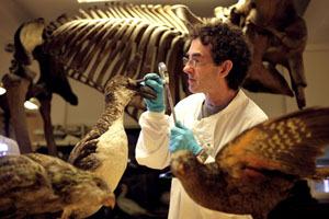 Zoological Museum