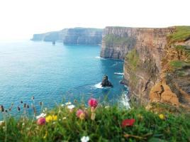 Paddywagon Tours