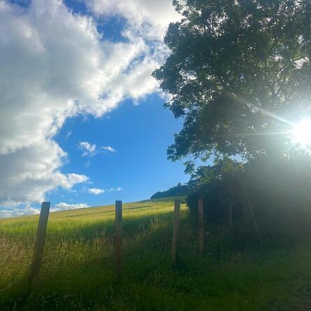The Shaking Bog presents Our Native Hedgerows – Walk & Talk, led by Neil Foulkes