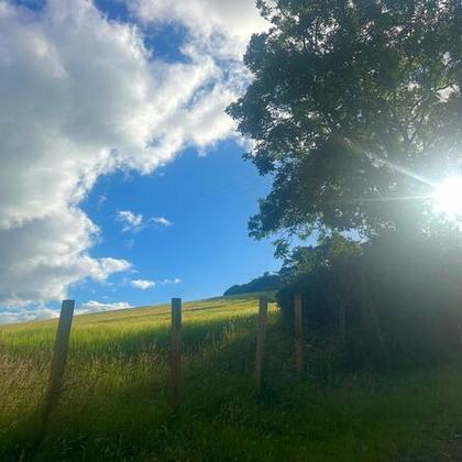 The Shaking Bog presents Our Native Hedgerows – Walk & Talk, led by Neil Foulkes