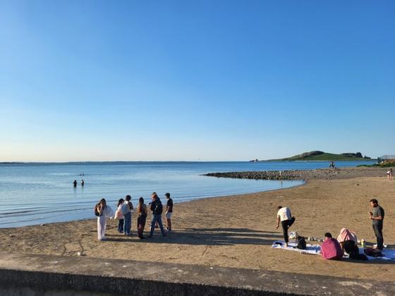 Howth Foraging – Ireland’s Eye Foraging & Beach Picnic