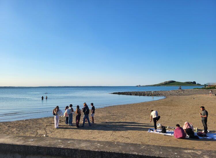 Howth Foraging – Ireland’s Eye Foraging & Beach Picnic