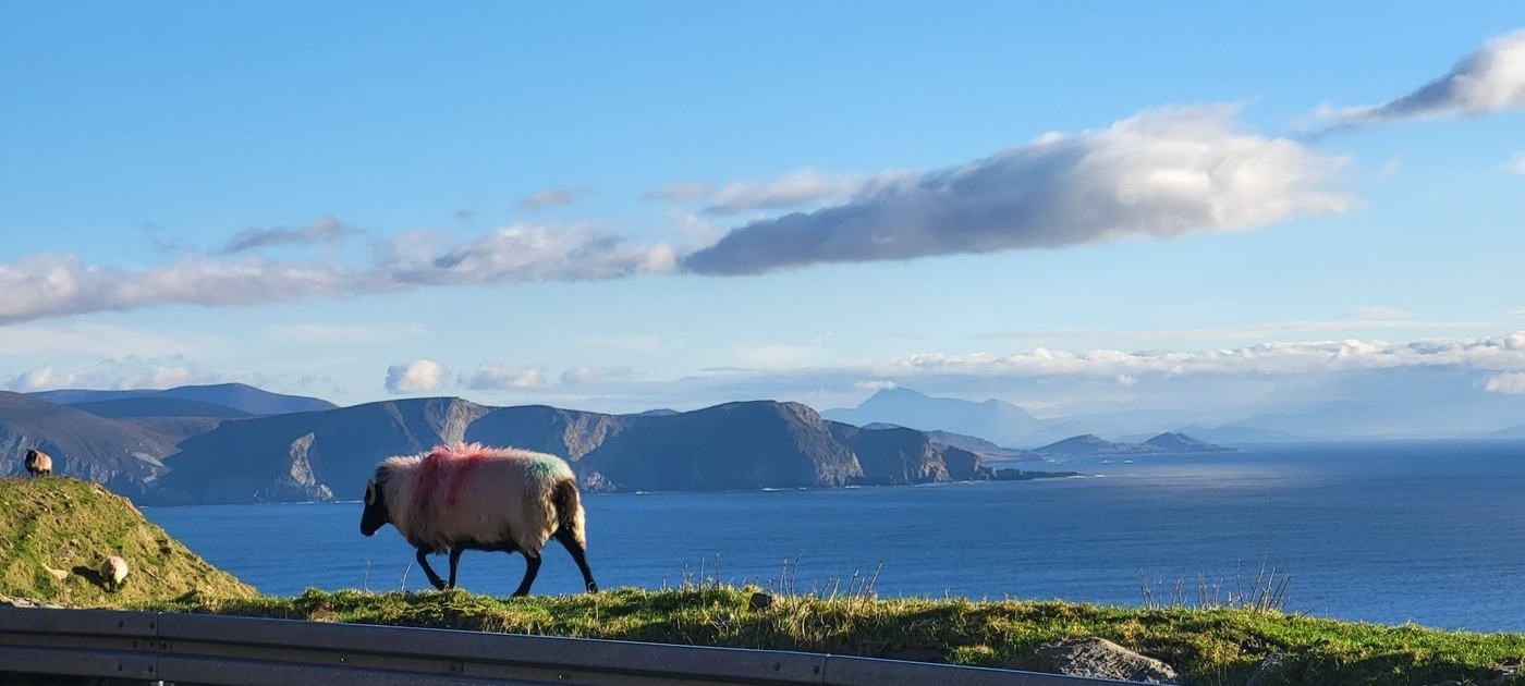 Keogh Tours Ireland