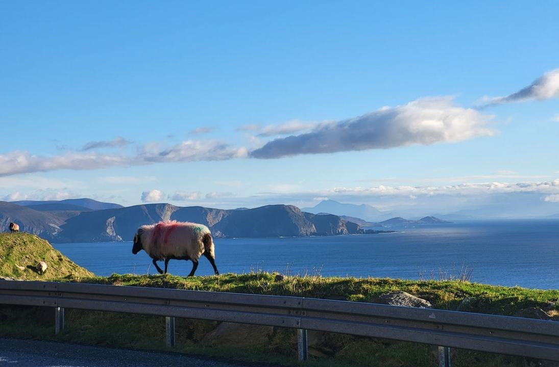Keogh Tours Ireland