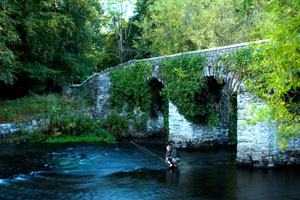 Love Fishing Ireland