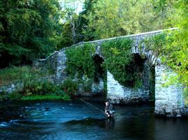 Love Fishing Ireland
