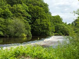 Celbridge Guided Walks