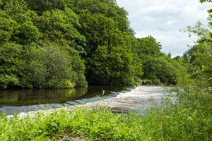 Celbridge Guided Walks