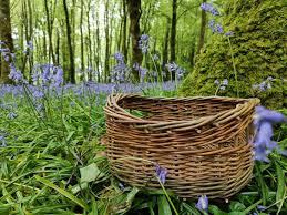 Willow Basket Making Workshop